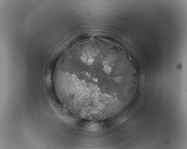 X0000111380267200907241316