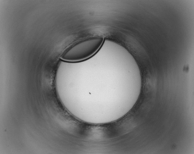 X0000111380268200907241317