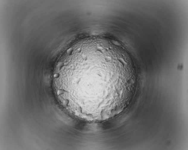 X0000111380269200907241317