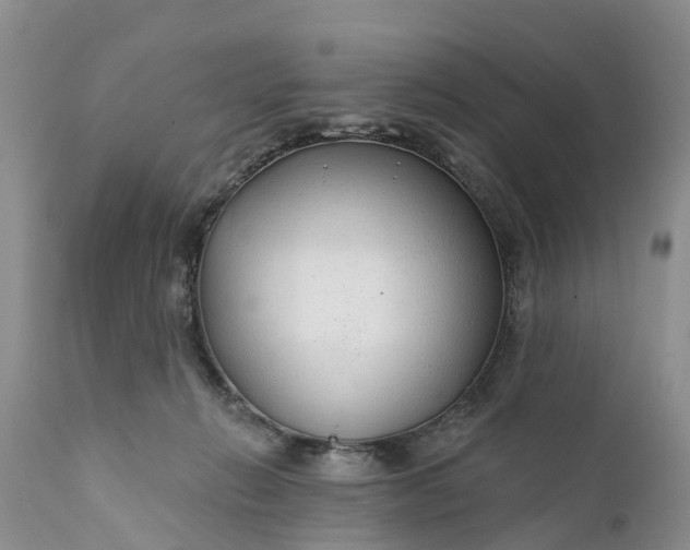 X0000111380270200907241317