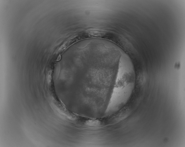 X0000111380271200907241317