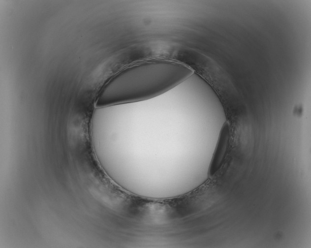 X0000111380272200907241317