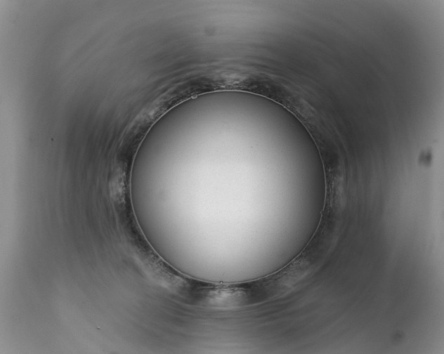 X0000111380274200907241317