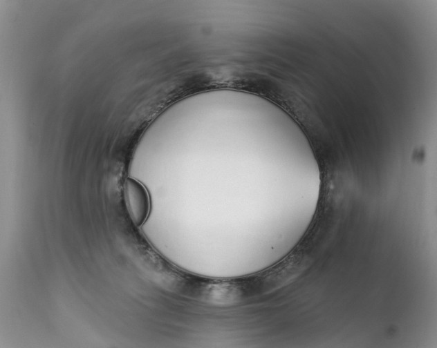 X0000111380275200907241317