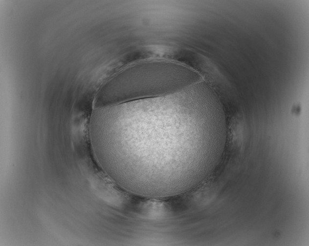 X0000111380276200907241317