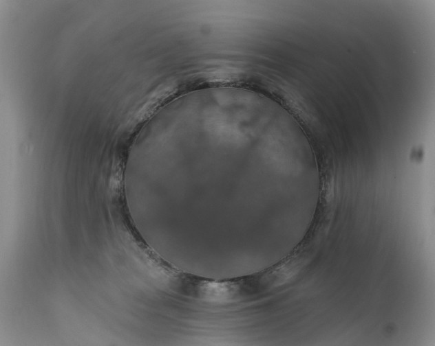 X0000111380277200907241317