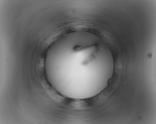 X0000111380278200907241317