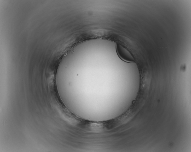 X0000111380279200907241317