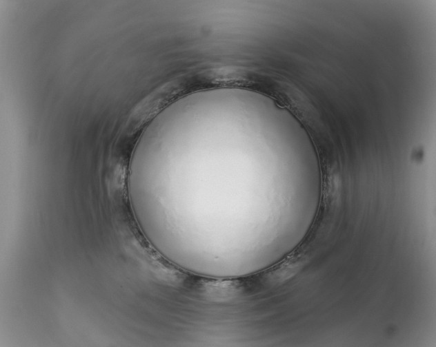 X0000111380281200907241317