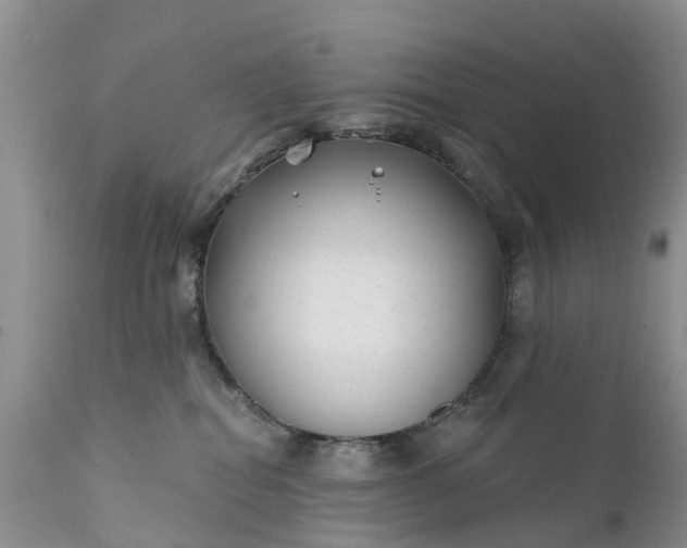 X0000111380282200907241317