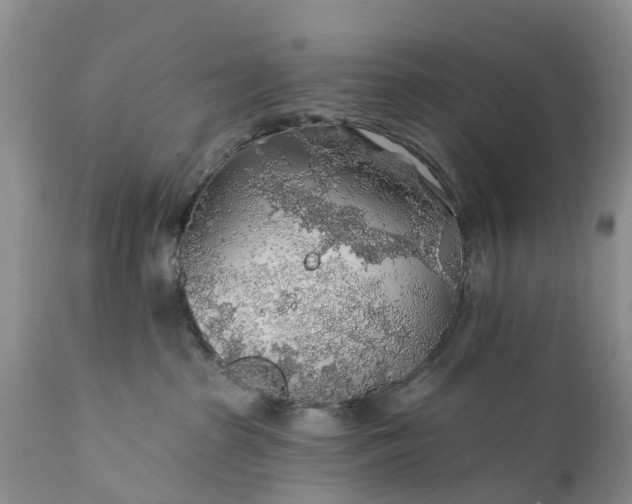 X0000111380285200907241317