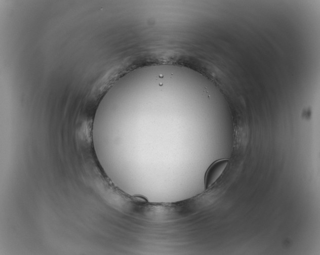 X0000111380286200907241317