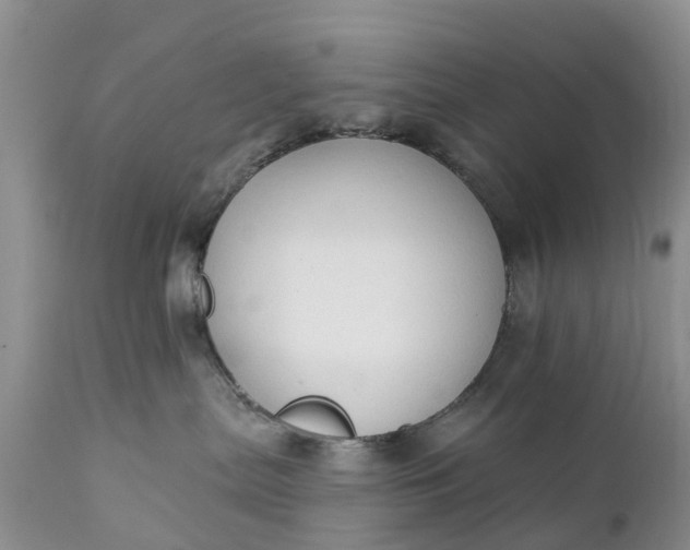 X0000111380287200907241317