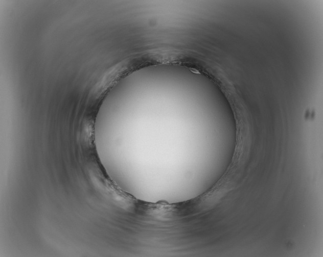 X0000111380288200907241317