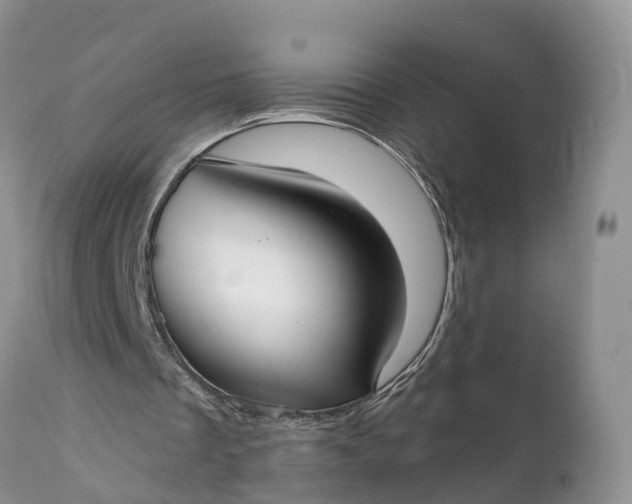 X0000111380289200907241316