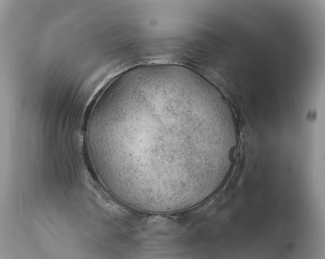 X0000111380290200907241316