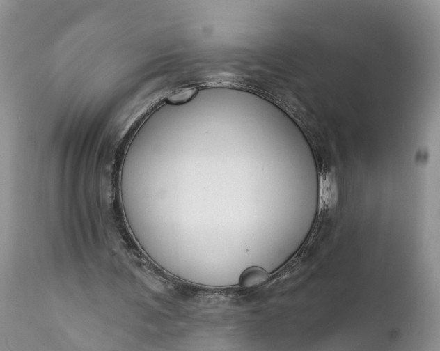 X0000111380291200907241316