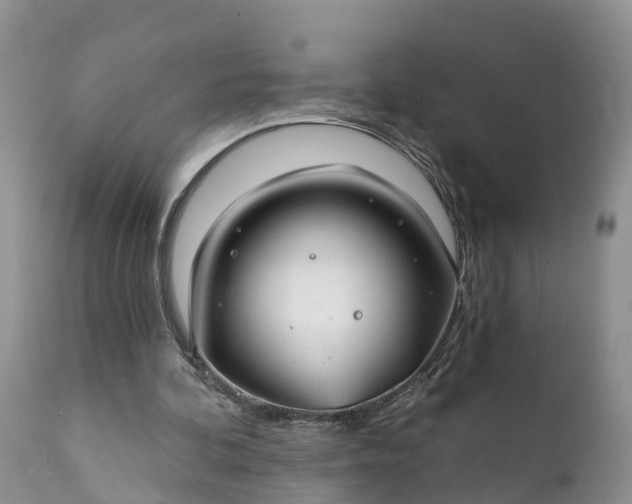 X0000111380292200907241316