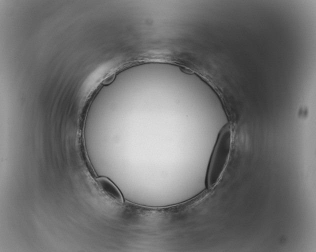 X0000111380293200907241316