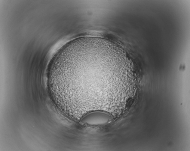 X0000111380294200907241316