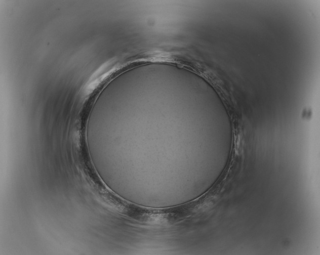 X0000111380295200907241316