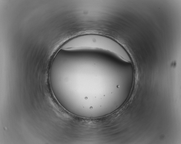 X0000111380297200907241316