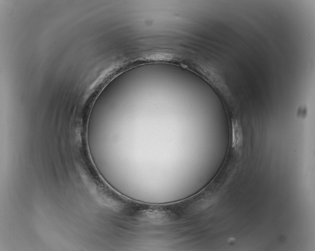 X0000111380300200907241316