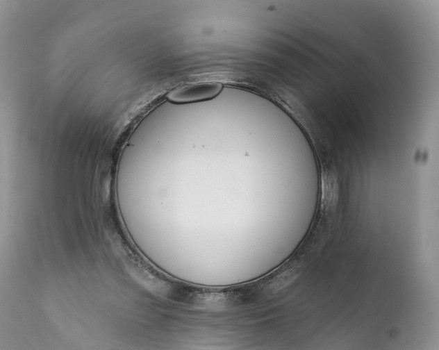 X0000111380301200907241316