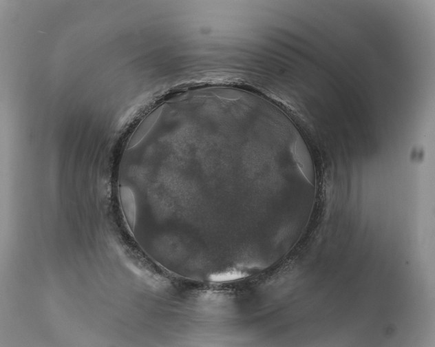 X0000111380303200907241316