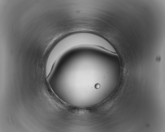 X0000111380304200907241316