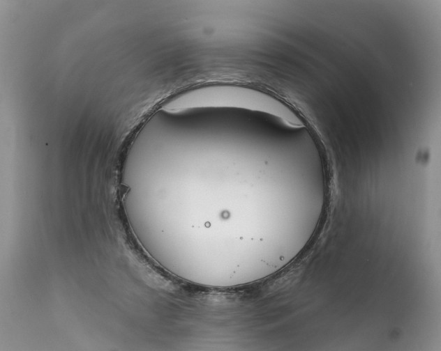 X0000111380305200907241316