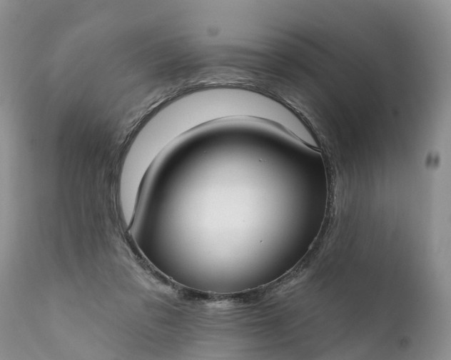 X0000111380309200907241316