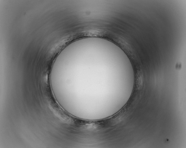 X0000111380310200907241316