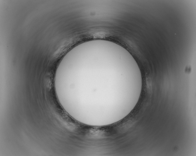 X0000111380311200907241316