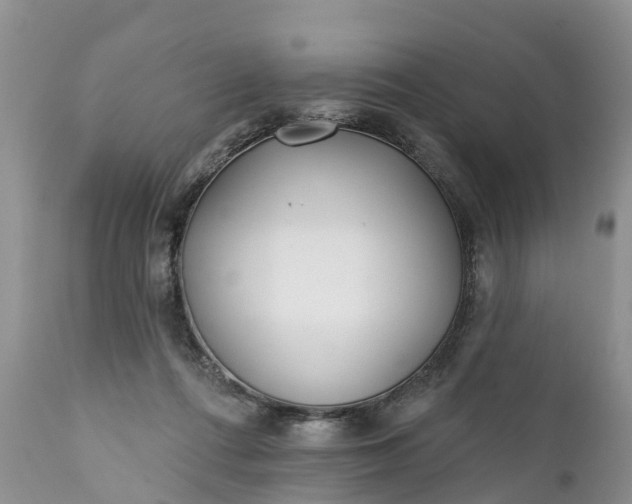 X0000111380312200907241316