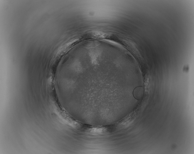 X0000111380314200907241316