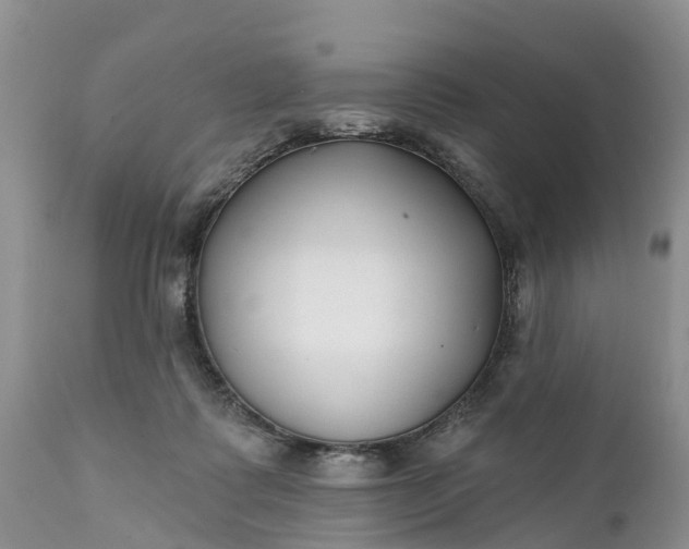 X0000111380315200907241316