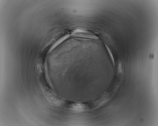 X0000111380316200907241316