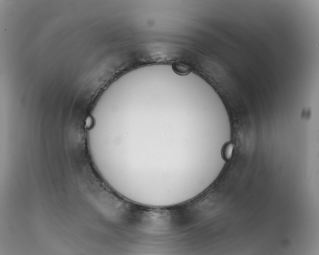 X0000111380317200907241316