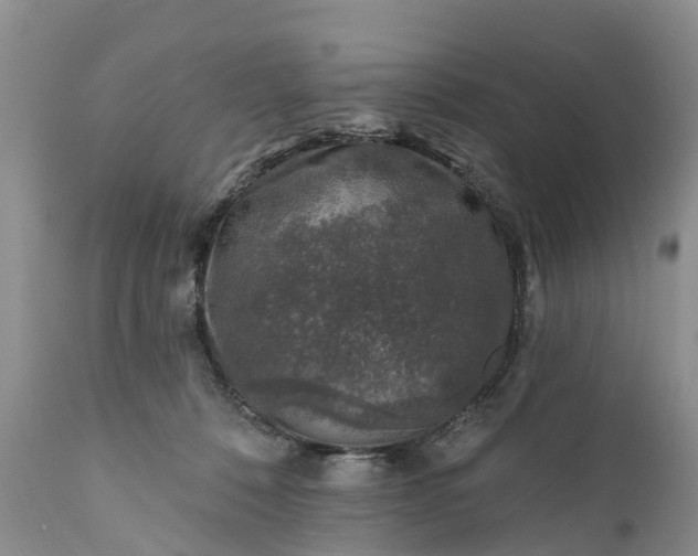 X0000111380320200907241315