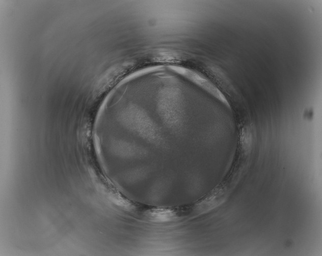 X0000111380322200907241315