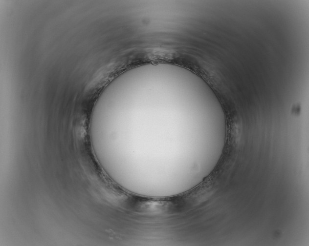 X0000111380323200907241315