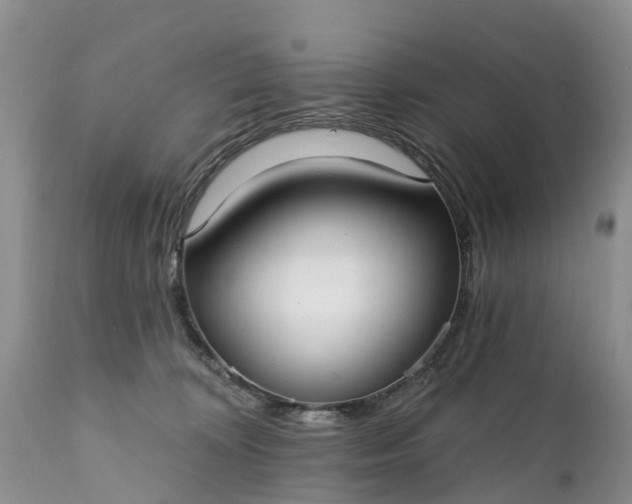 X0000111380324200907241315