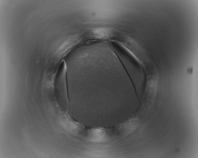 X0000111380325200907241315