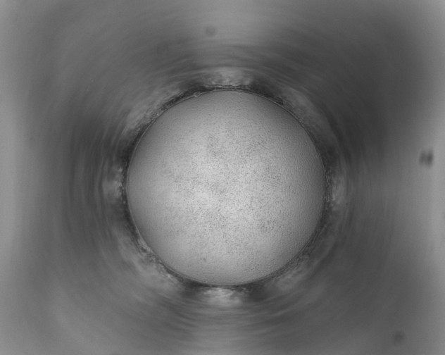 X0000111380326200907241315