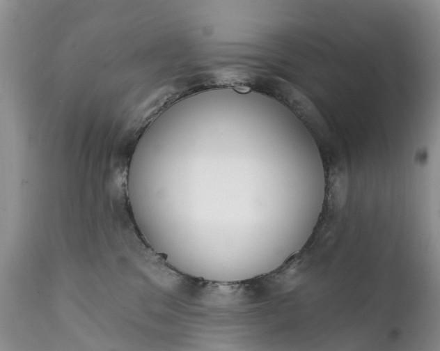 X0000111380329200907241315