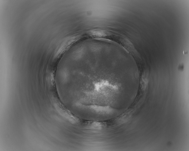 X0000111380330200907241315