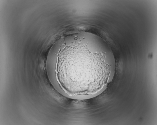 X0000111380331200907241315