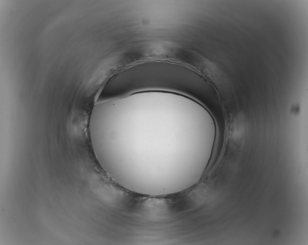 X0000111380332200907241315