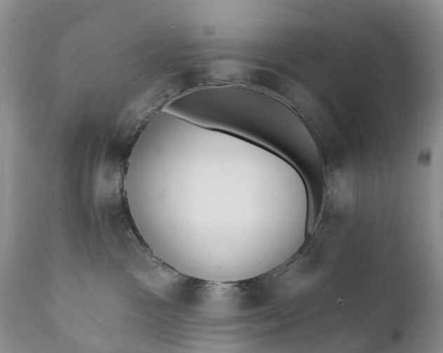 X0000111380333200907241315